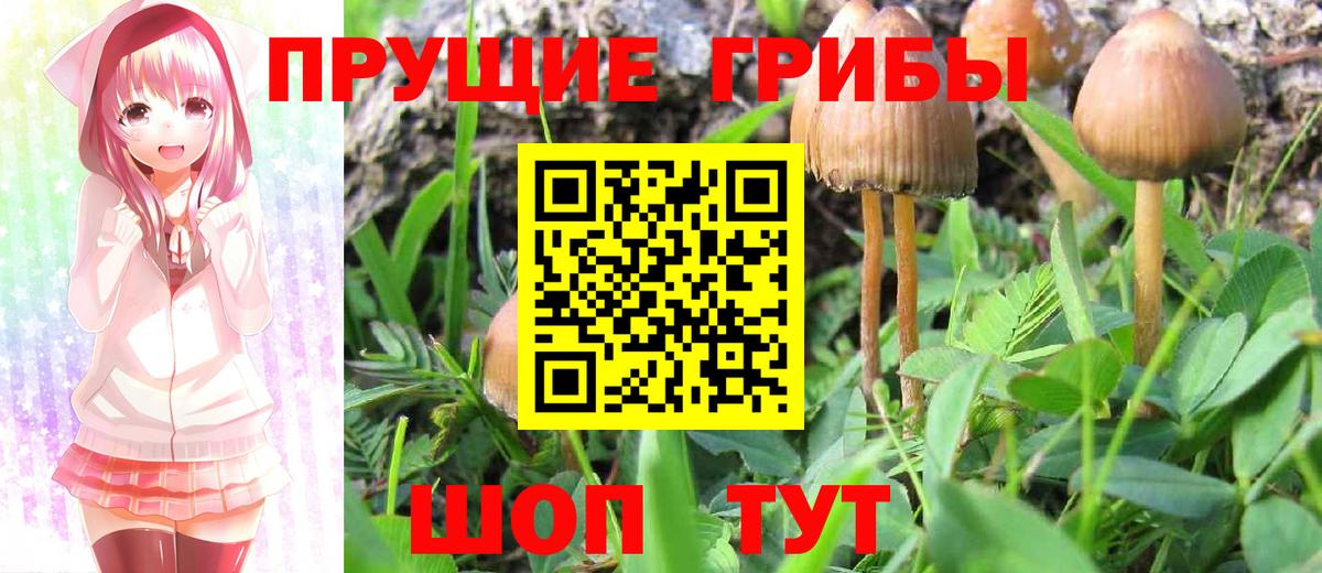 Галлюциногенные грибы мухоморы Соликамск